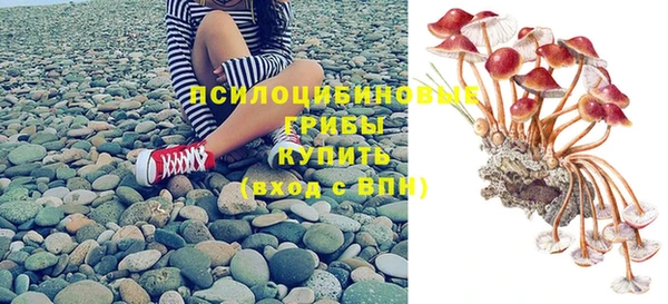 альфа пвп Заволжск