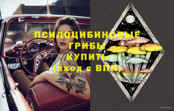 mdpv Шали