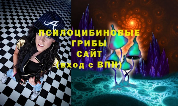альфа пвп Заволжск