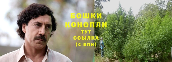 дживик Заволжье