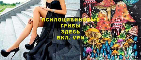 альфа пвп Заволжск