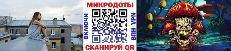 как найти   Красково  Галлюциногенные грибы Cubensis 